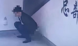 拉屎的视频,一场关于人体排泄的奇妙之旅